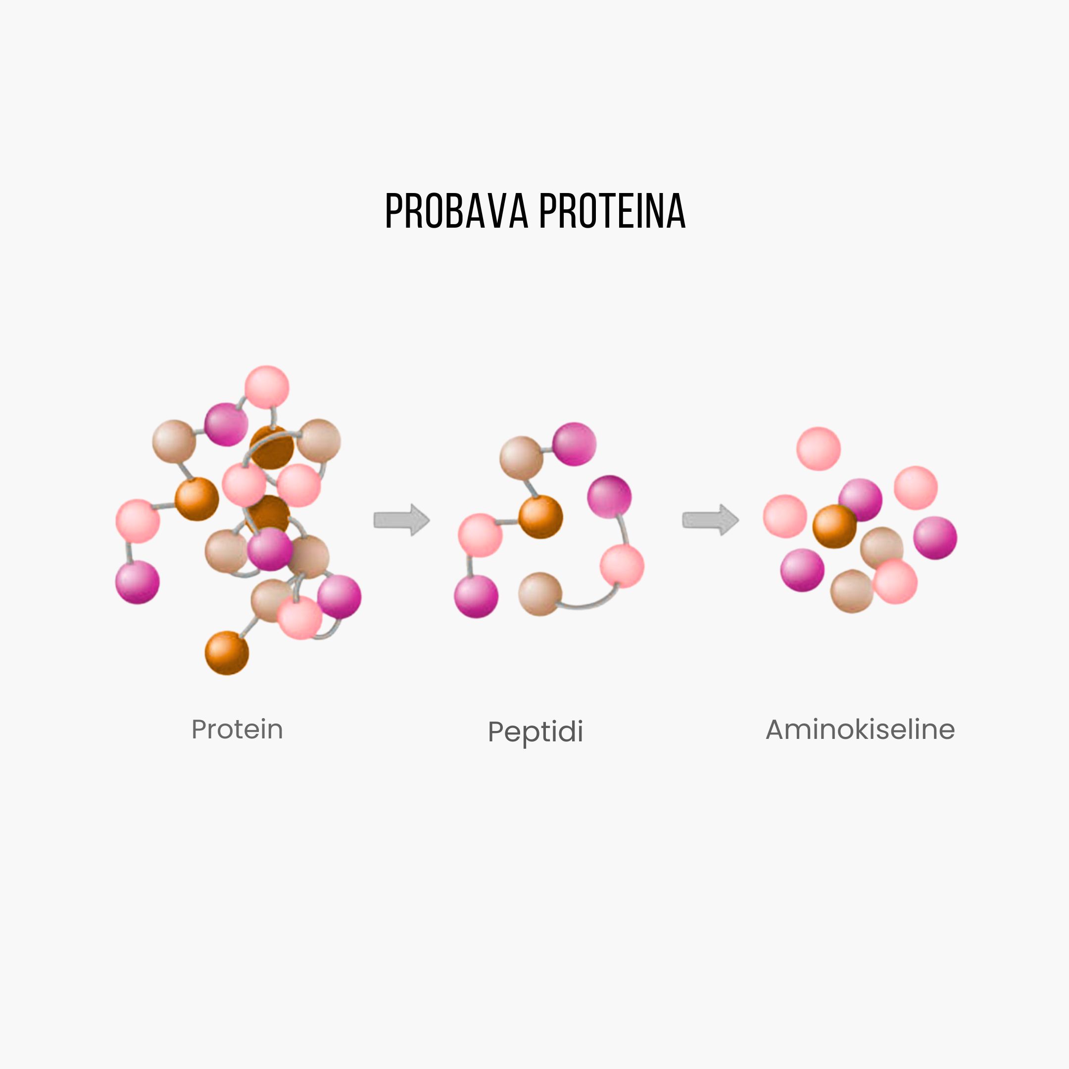 (Chorvatština) - 2025-03-23T092348.266